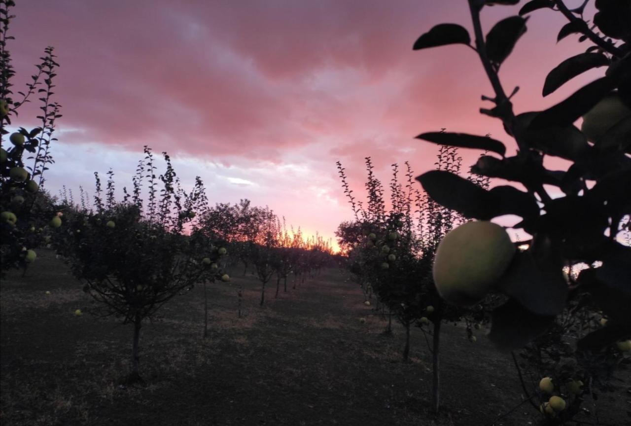 Salas Farma 47-Miris Dunja Cenej Εξωτερικό φωτογραφία