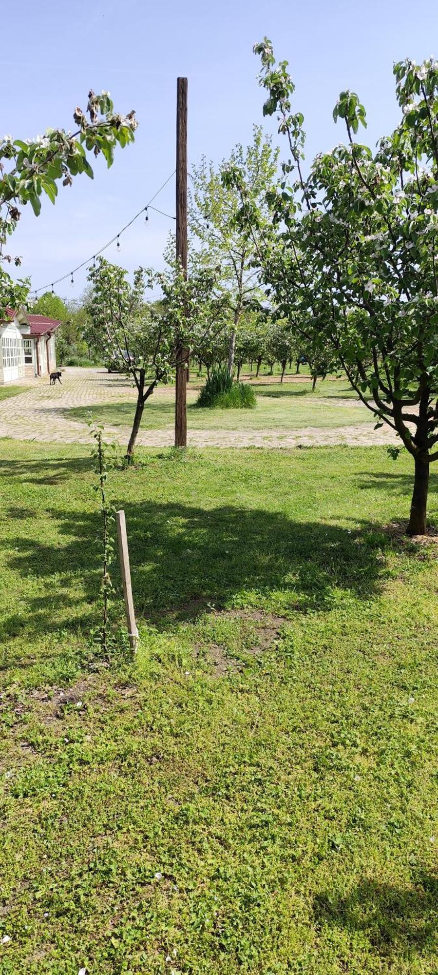 Salas Farma 47-Miris Dunja Cenej Εξωτερικό φωτογραφία