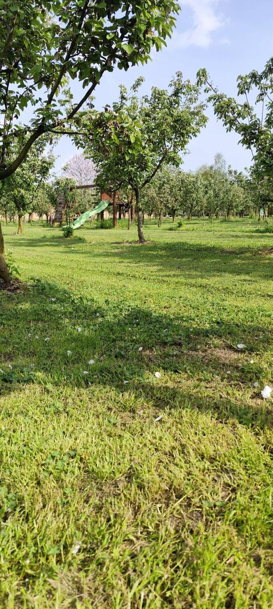 Salas Farma 47-Miris Dunja Cenej Εξωτερικό φωτογραφία