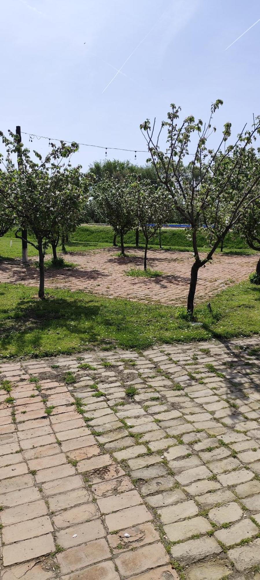 Salas Farma 47-Miris Dunja Cenej Εξωτερικό φωτογραφία
