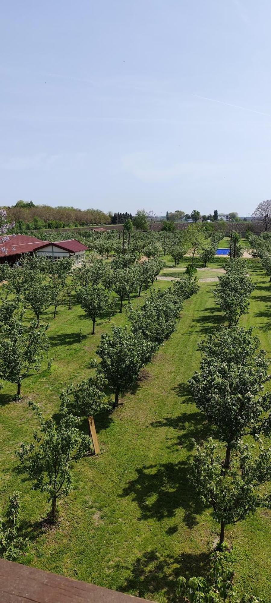 Salas Farma 47-Miris Dunja Cenej Εξωτερικό φωτογραφία