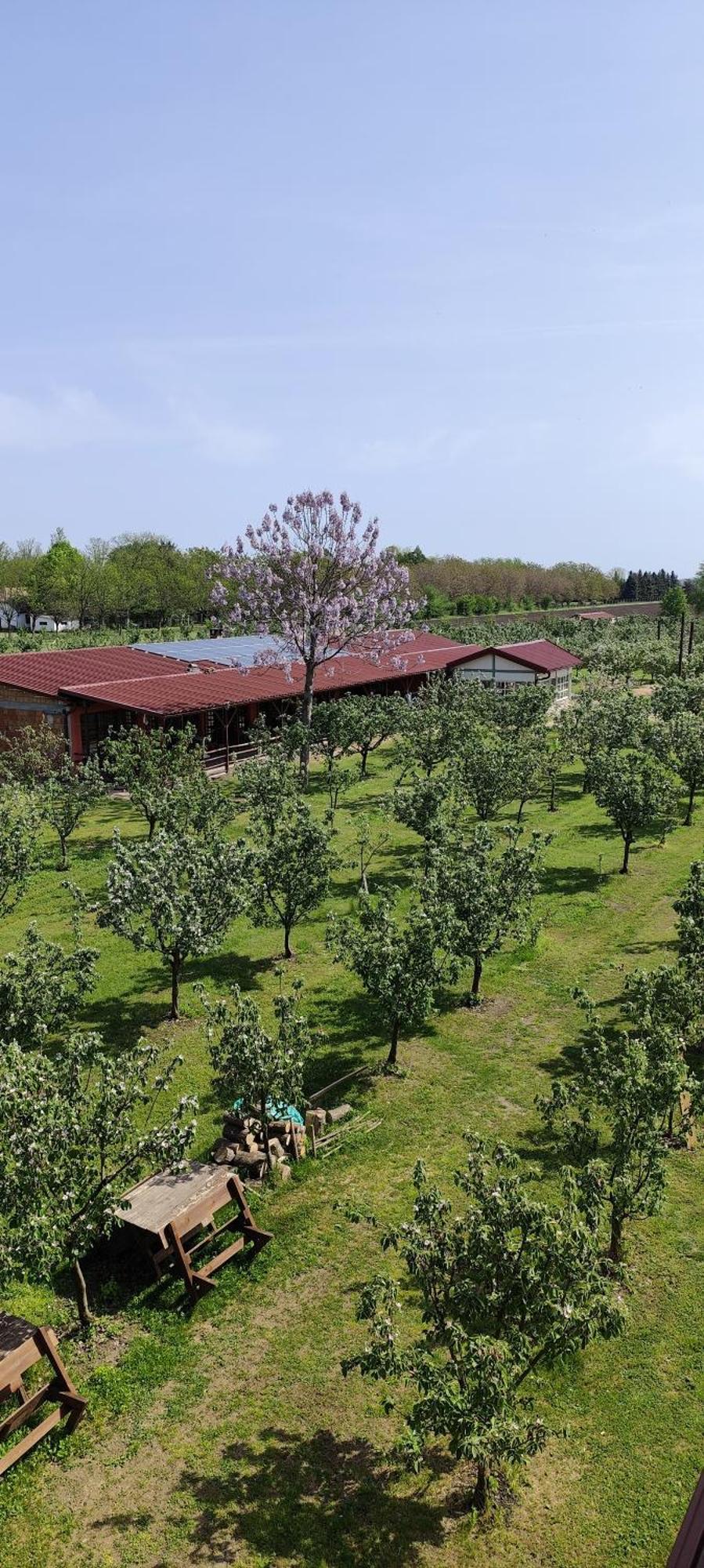 Salas Farma 47-Miris Dunja Cenej Εξωτερικό φωτογραφία