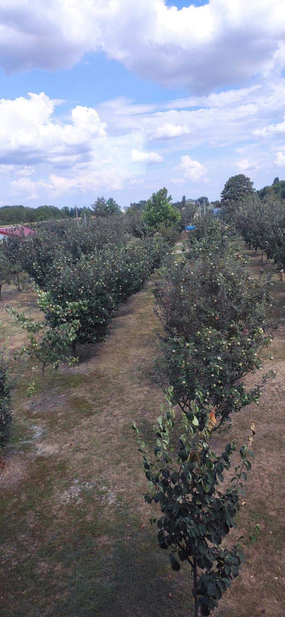 Salas Farma 47-Miris Dunja Cenej Εξωτερικό φωτογραφία